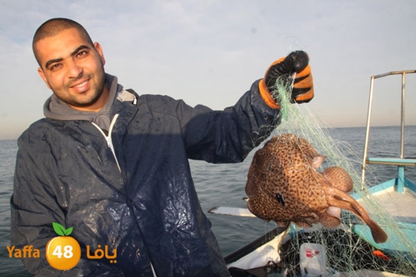 sayyadnewyaffa3 (11).JPG